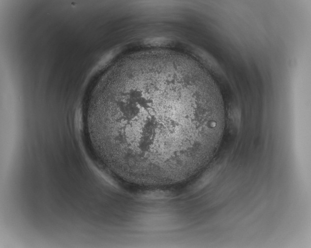 X0000113310734200909281124