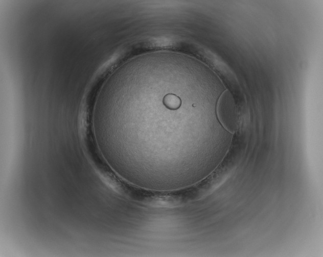 X0000113310736200909281124