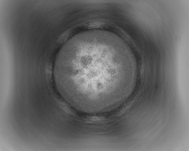 X0000113310737200909281124