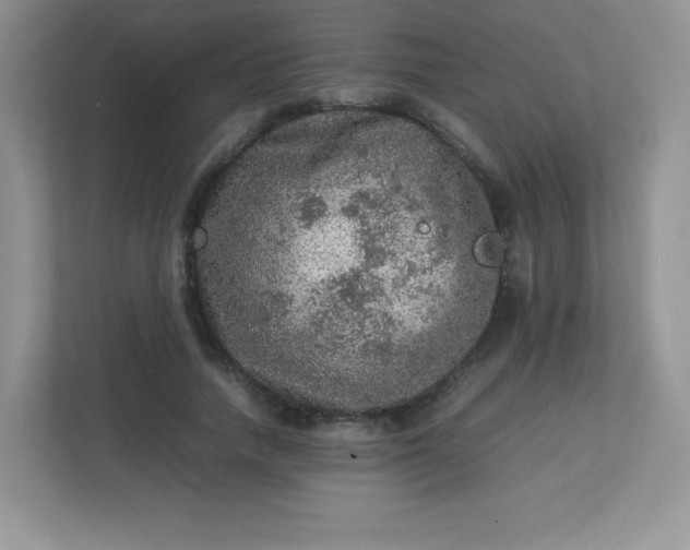 X0000113310738200909281124