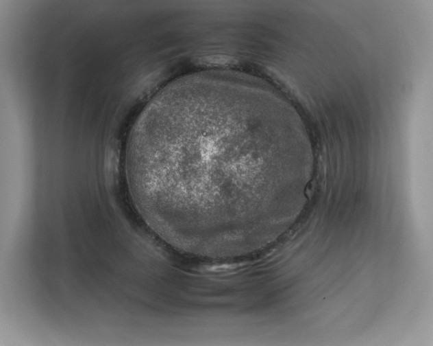 X0000113310739200909281124