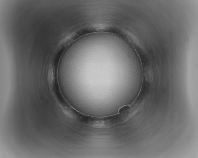 X0000113310740200909281124