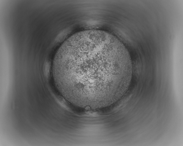 X0000113310742200909281124