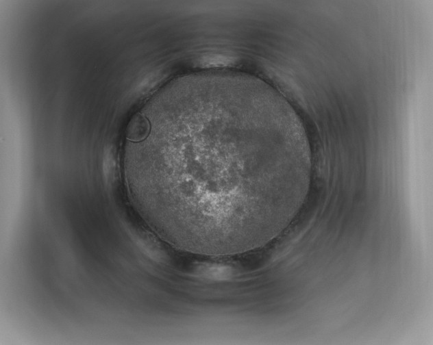 X0000113310743200909281124