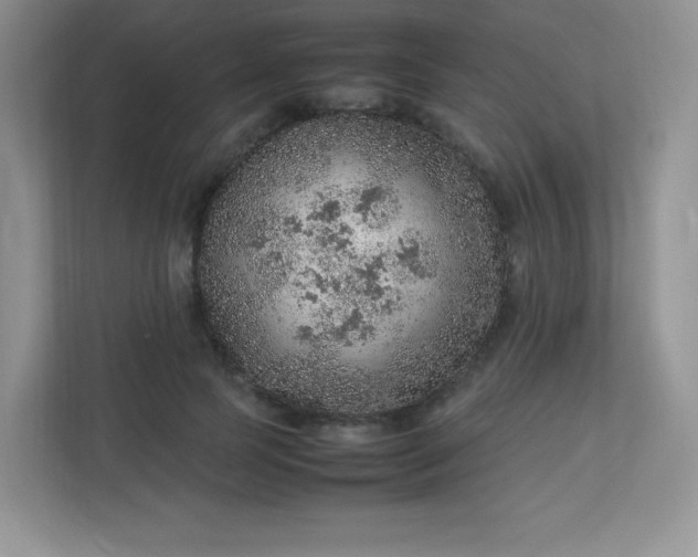 X0000113310745200909281124