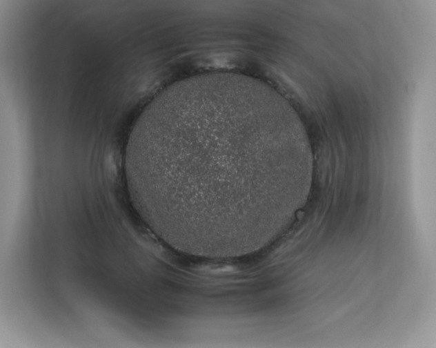 X0000113310747200909281124