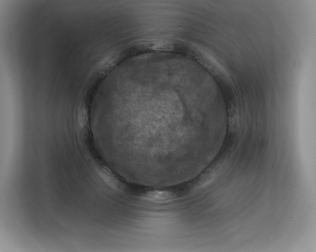 X0000113310748200909281124