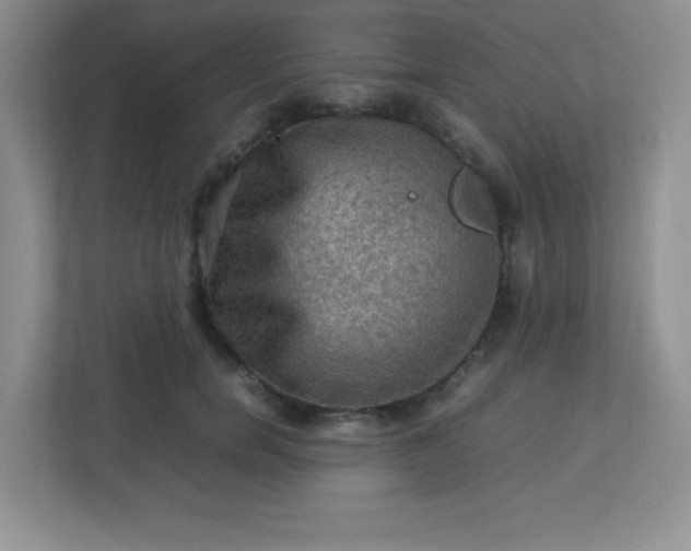 X0000113310750200909281124