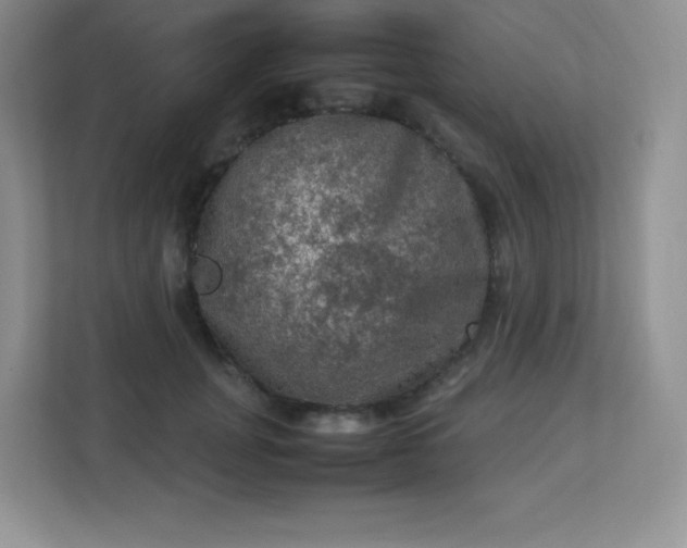 X0000113310751200909281124