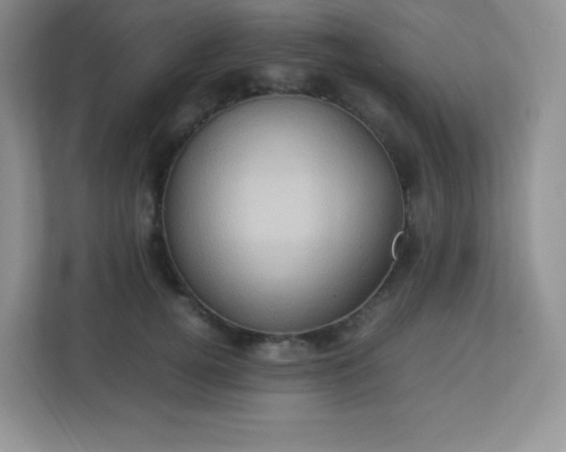 X0000113310752200909281124