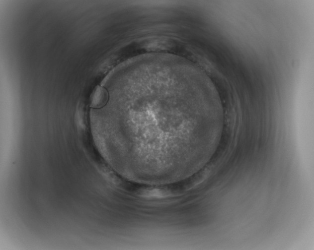 X0000113310755200909281124