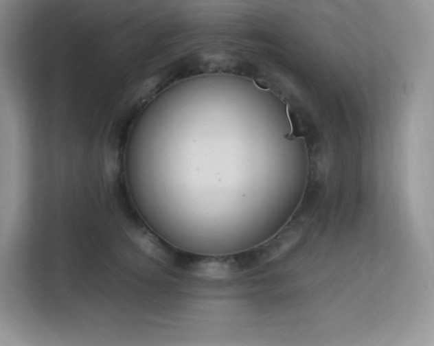 X0000113310756200909281124