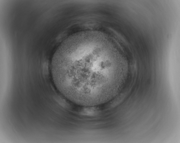 X0000113310757200909281124