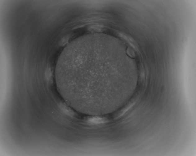 X0000113310759200909281124