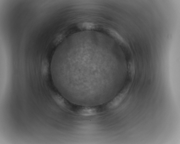 X0000113310760200909281124