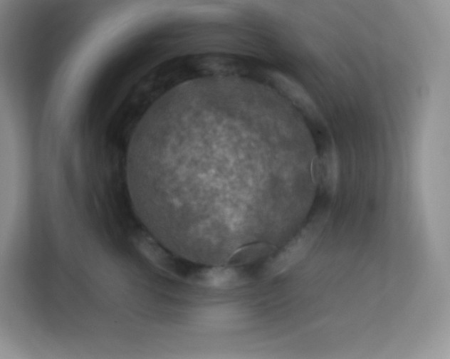 X0000113310762200909281124