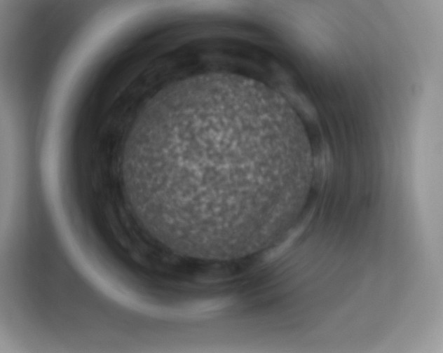 X0000113310765200909281124