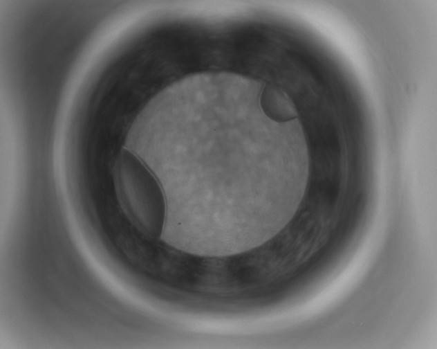 X0000113310766200909281124