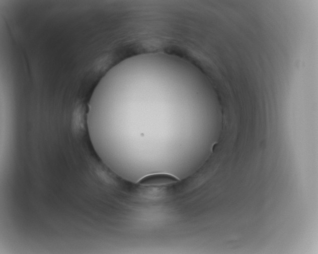 X0000113310768200909281124