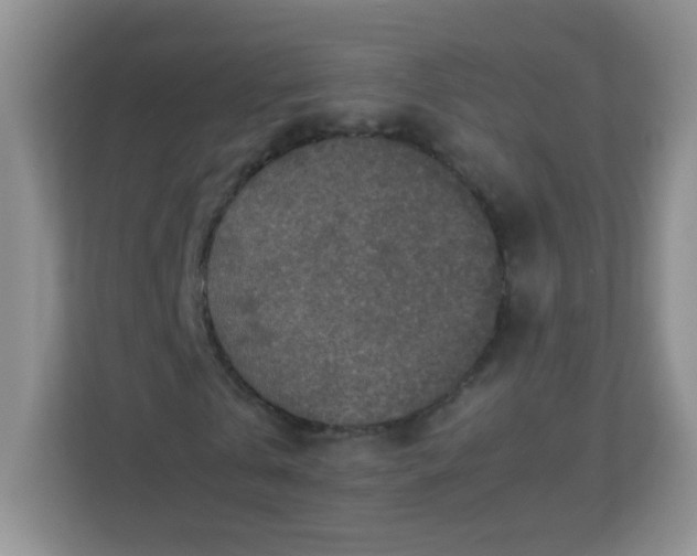 X0000113310769200909281124