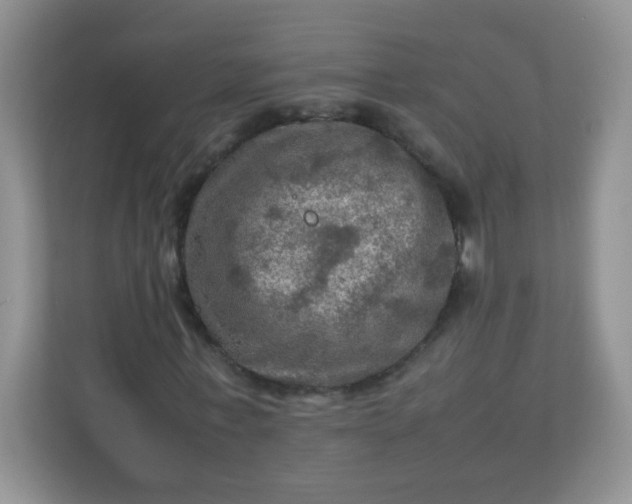 X0000113310771200909281124