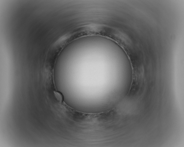 X0000113310773200909281124