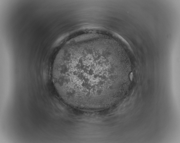 X0000113310775200909281124