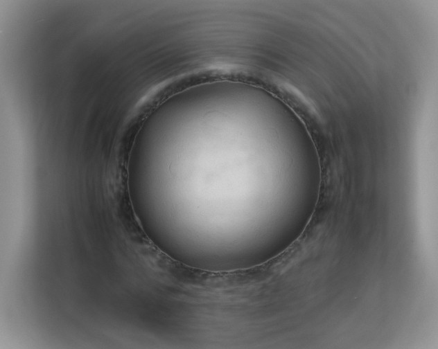 X0000113310776200909281124