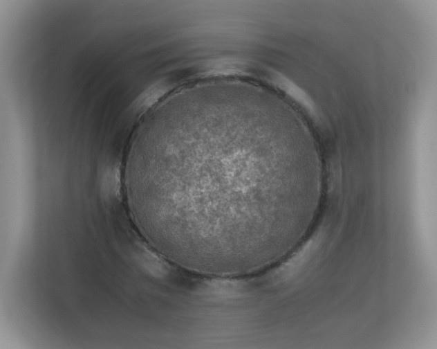 X0000113310777200909281124