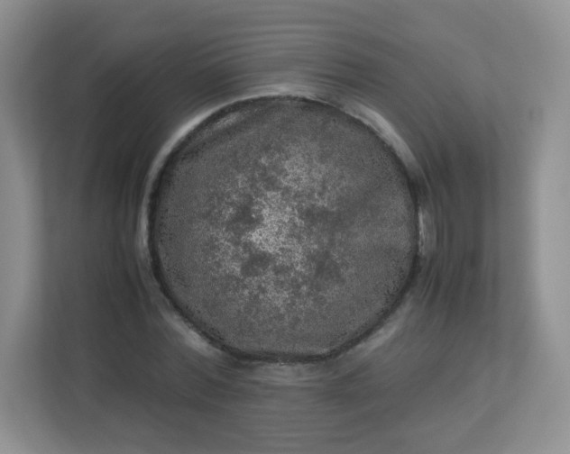 X0000113310780200909281124