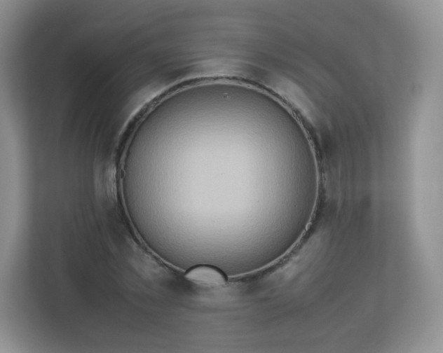 X0000113310781200909281124