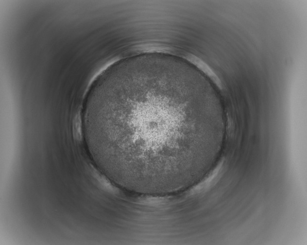 X0000113310782200909281124