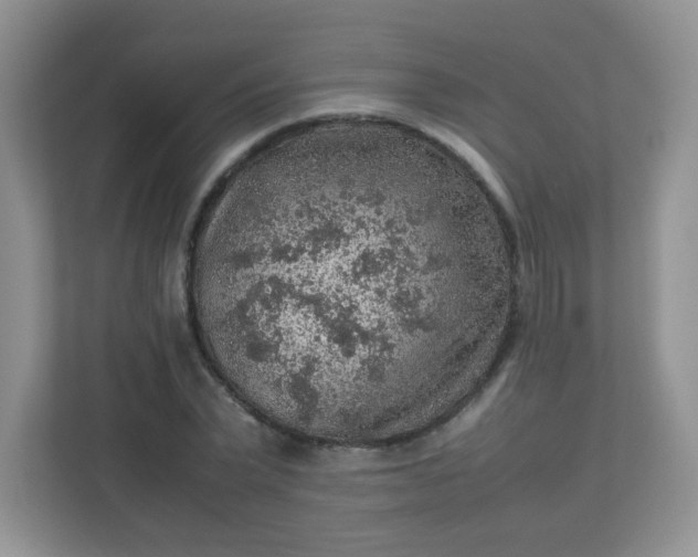 X0000113310783200909281124