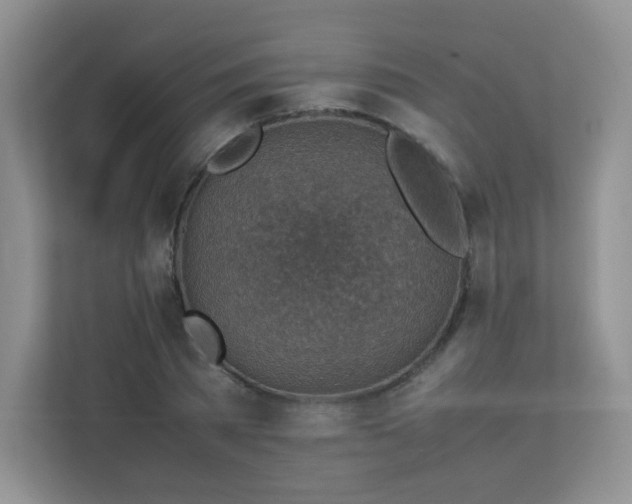 X0000113310785200909281123