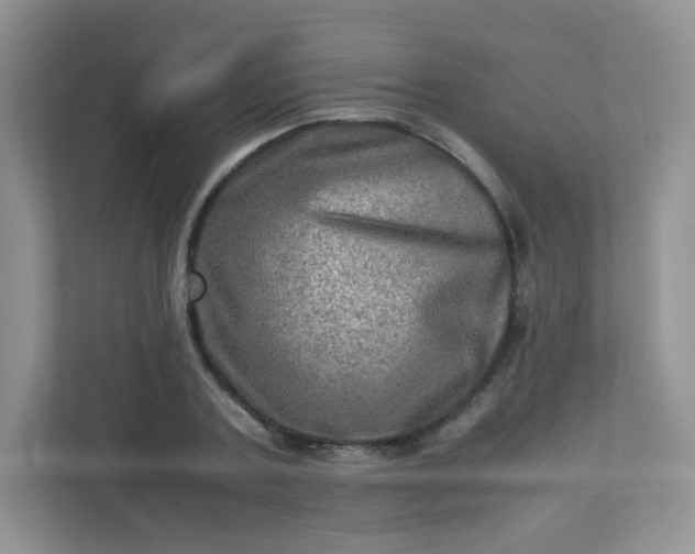 X0000113310787200909281123