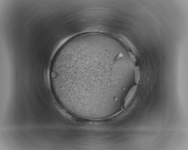 X0000113310788200909281123