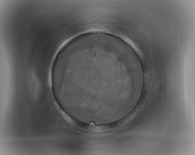 X0000113310791200909281123