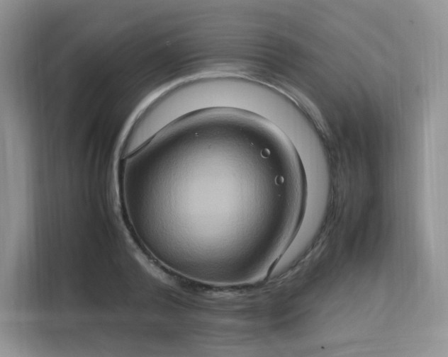 X0000113310792200909281123