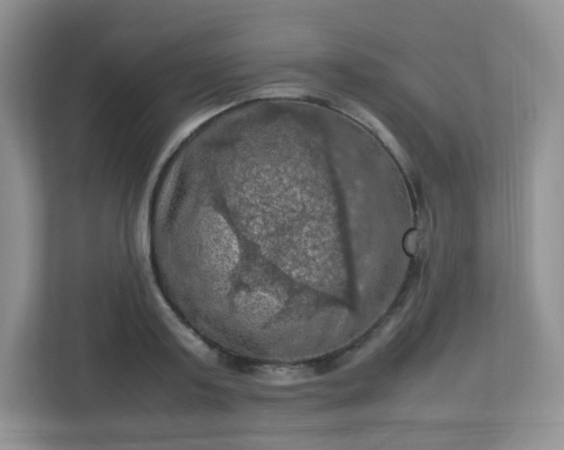 X0000113310795200909281123