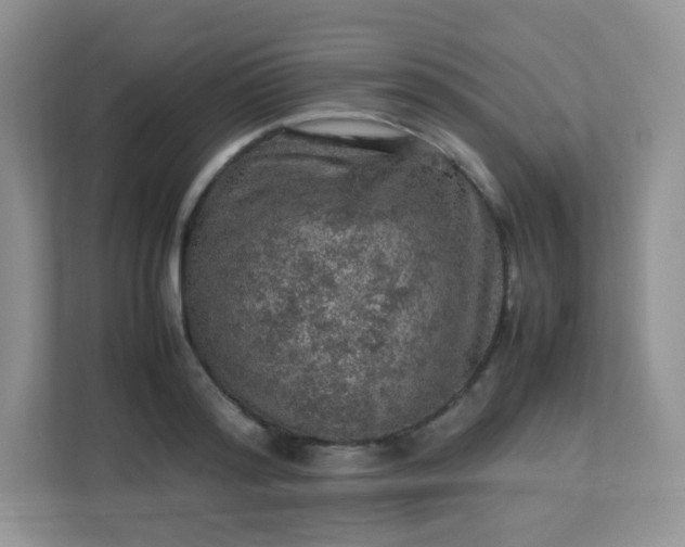 X0000113310796200909281123