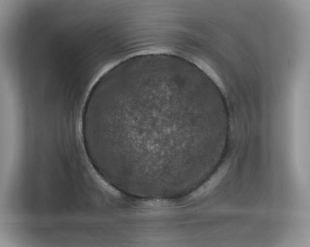 X0000113310797200909281123