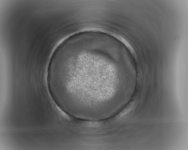 X0000113310799200909281123