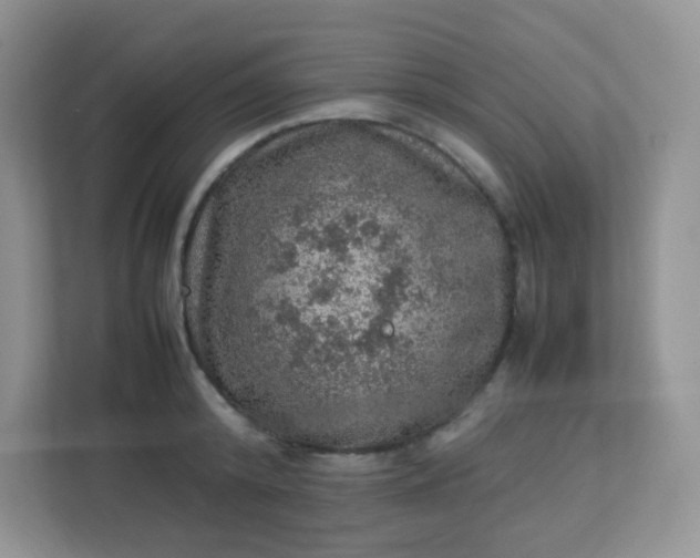 X0000113310800200909281123