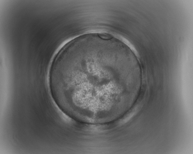 X0000113310803200909281123