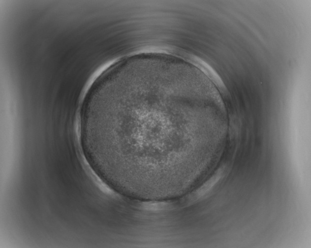 X0000113310804200909281123