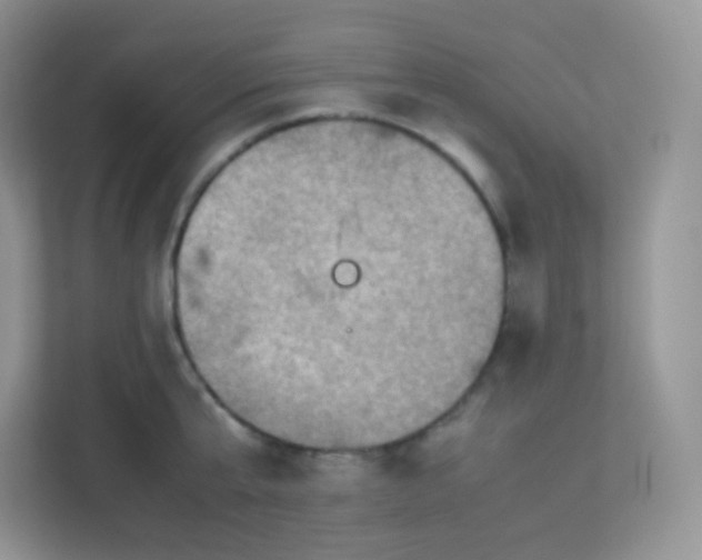 X0000113310807200909281123