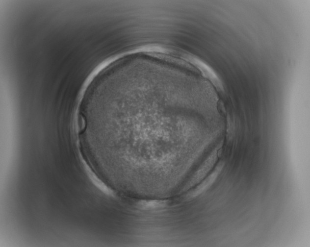 X0000113310808200909281123