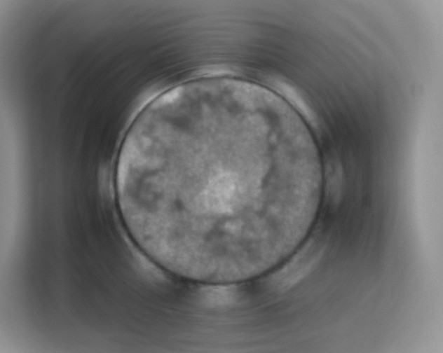 X0000113310810200909281123