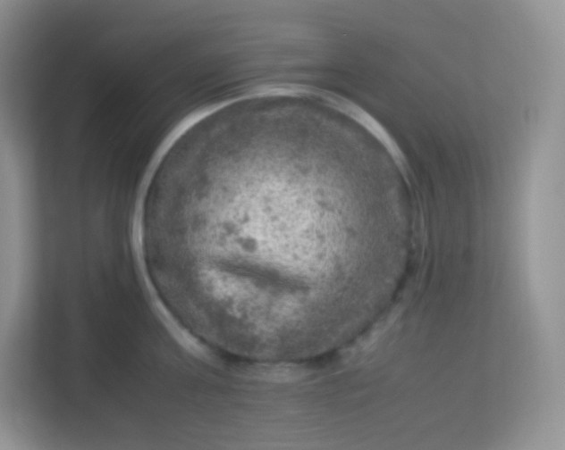 X0000113310811200909281123