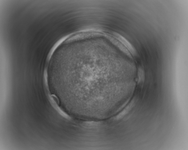 X0000113310812200909281123